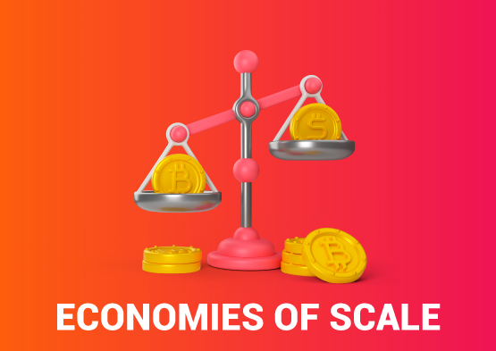 Overview of The Economies of Scale