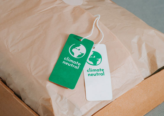 The Growing Importance of Sustainability to Consumers